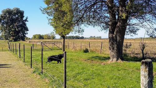 Campo En Venta En Capitán Sarmiento