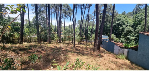 Terreno En Venta, Zona Avandaro