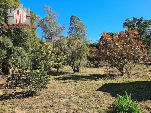Imagem 5 de 30 de Ótima Chácara Com 2 Dormitórios, Córrego Nos Fundos, Pomar, Acesso Asfaltado, À Venda, 2000 M² Por R$ 280.000 - Rural - Socorro/sp - Ch1005
