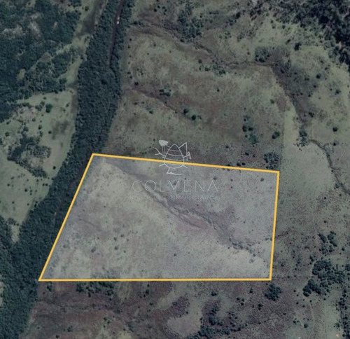 Imagen 2 de 3 de Campo En Paso De La Cantera - Garzón