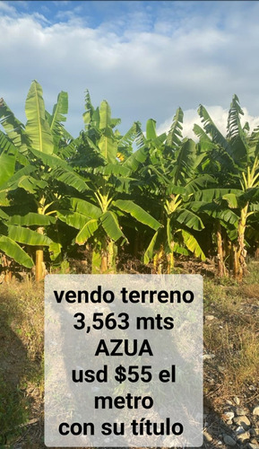 Vendo Terreno En Azua 