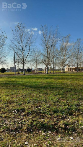 Imagen 9 de 11 de Venta Terreno En Pinares Del Sur - Oportunidad