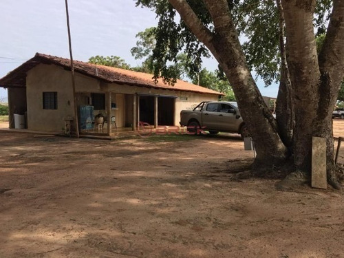 Imagem 7 de 11 de Fazenda Para Soja + Pivô Em Santa Rosa ,tocantins, Com 945 Hectares . - Fa00045 - 70338076