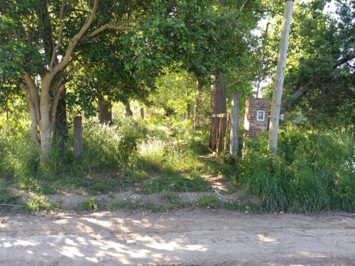 Imagen 7 de 14 de Retasado 6 Hectareas En Venta En Pilar, A 200mts De Ruta 25.