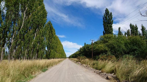 Imagen 5 de 10 de Campo - Valcheta