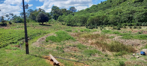 Terreno Com Casa, Natureza E Rentabilidade