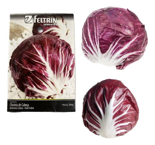 Chicória Palla Rossa Precoce (radicchio) Envelope Com 700mg