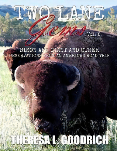 Two Lane Gems, Vol. 2, De Theresa L Goodrich. Editorial Local Tourist, Tapa Blanda En Inglés