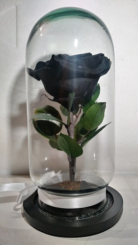 Rosa Eterna Negra Bella Bestia Rosas Preservadas 