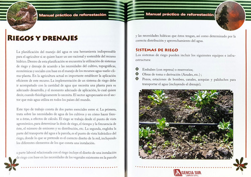 Manual Practico De Reforestación, Silvicultura Y Viveros
