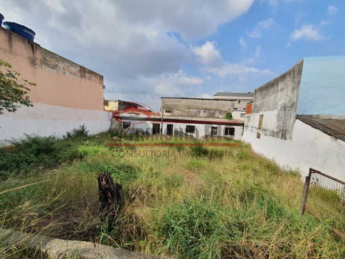 Imagem 8 de 15 de Excelente Terreno - Financia Penha Circular. - Pamf00041