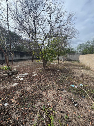 Casa Ideal Para Eventos Con Gran Terreno En Mérida.