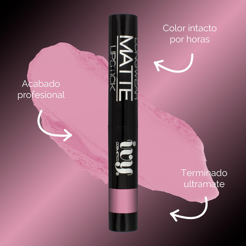 Labial Longwear Matte Lipstick Ivy Birthday Cake