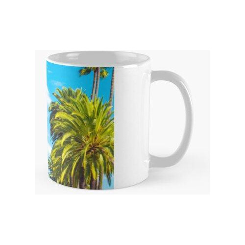 Taza  Palmeras De Isla Tropical En La Playa Calidad Premium