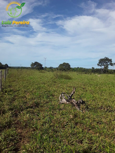 Imagem 9 de 15 de Fazenda Á Venda Em Dois Irmãos - To - 760 Hectares (dupla Aptidão) - 2086
