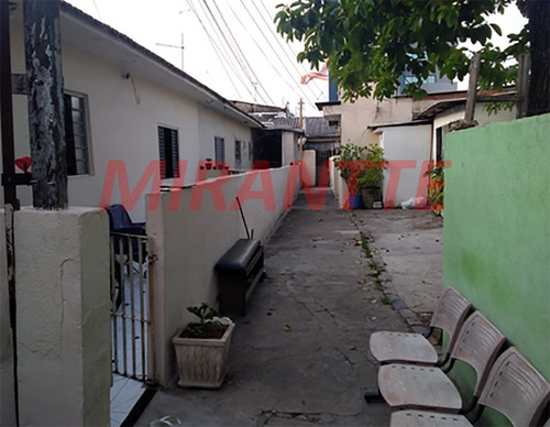 Imagem 8 de 8 de Terreno Em Vila Constança - São Paulo, Sp - 363427