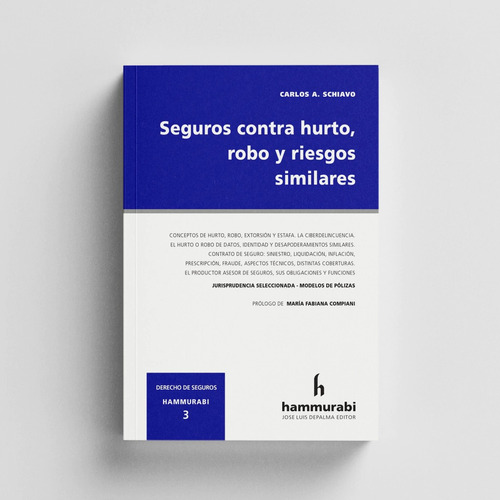 Seguros Contra Hurto Robo Y Riesgos Similares - Schiavo