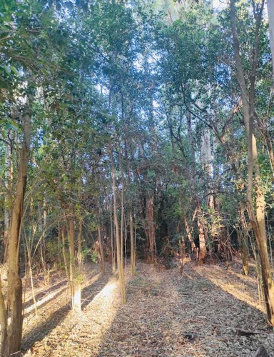 Venta Campo En Villa Ruiz, San Andres De Giles.