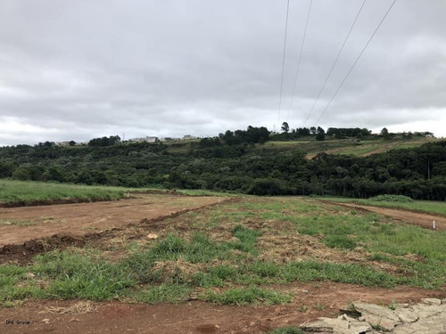 Imagem 14 de 15 de Terreno Para Venda Em Ponta Grossa, Neves - L-eco31_1-859684