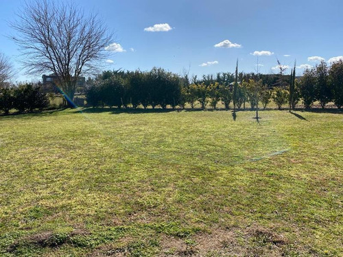 Casa 3 Dorm Parque 2500m2 Pileta Financiacion Barrio Cerrado Chacras De La Reserva