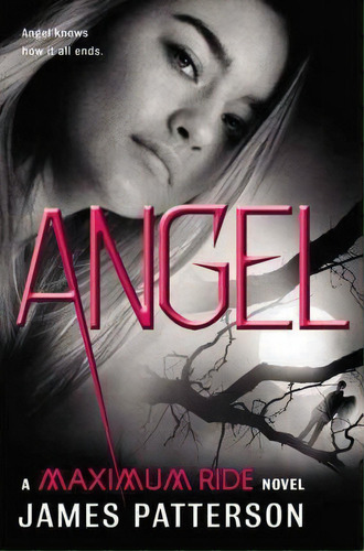 Angel, De James Patterson. Editorial Jimmy Patterson, Tapa Dura En Inglés