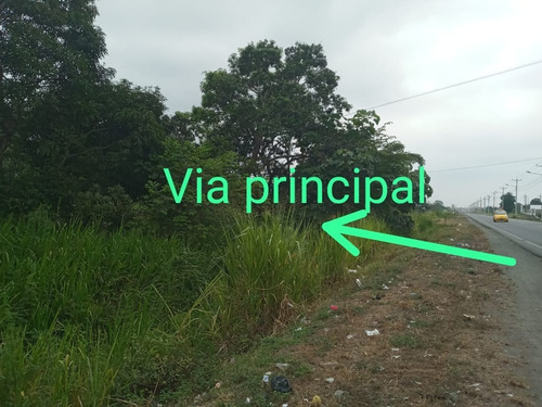 Imagen 5 de 13 de Terreno En Venta Ubicado Vía A Bucay Frente A Cartonera Ciudad El Triunfo Al Pie De La Carretera