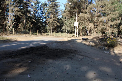 Sitio En Los Pinos
