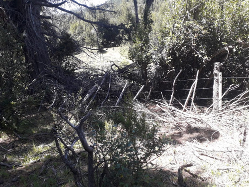 Se Vende Hermosa Chacra