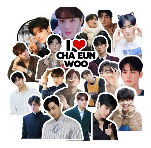 Cha Eun Woo 50 Stickers Astro Stickers Cha Eun Woo Stickers