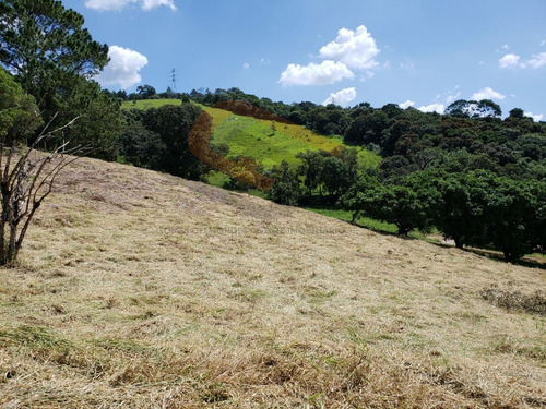 Imagem 11 de 14 de Atibaia Sp Terreno 20.000 M² Em Condomínio C/escritura
