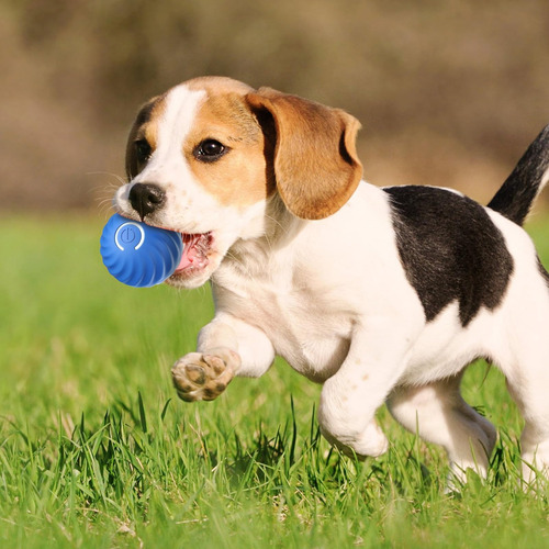 Juguetes Interactivos Pelotas For Perros Con Funda De Felp
