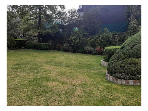 Imagen 7 de 12 de Extraordinario Terreno En Venta En Lomas De Chapultepec En