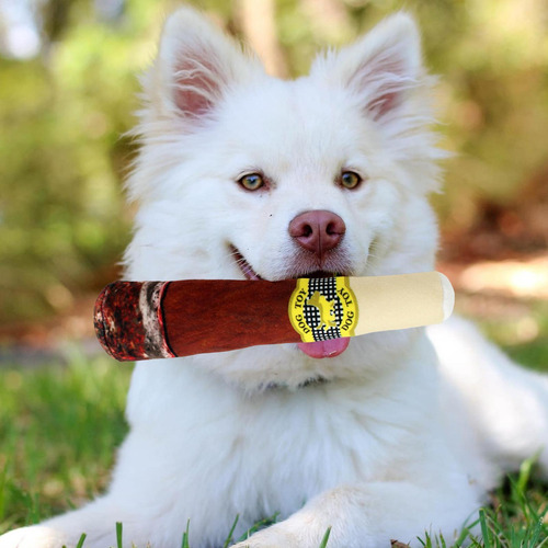 Juguetes Masticables De Peluche Para Perros Juguetes Mastica