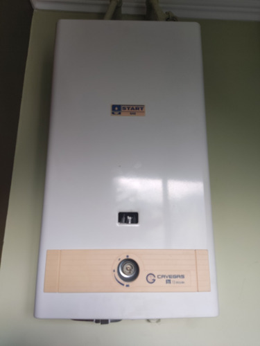 Servicio Tecnico Calentador Gas Termotronic Cbx Star Gas
