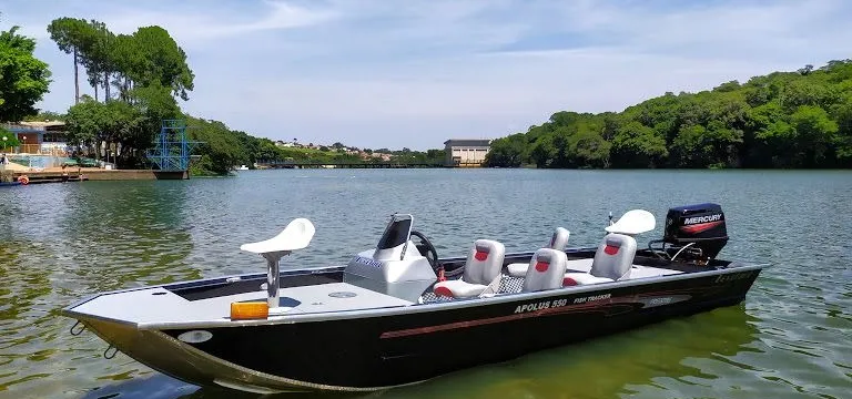 Grand Apolus 6.0 Freestyle Standard