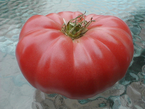 Tomate Gigante Beefsteak - 40 Sementes Para Mudas Heirloom