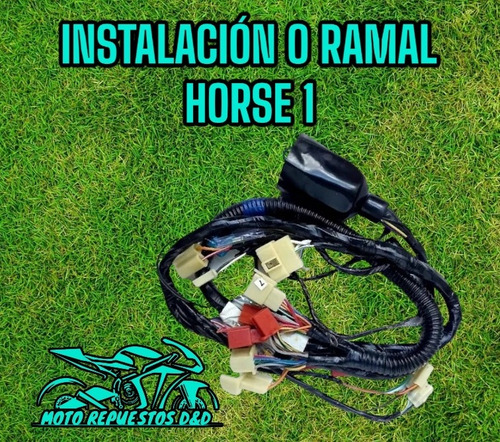 Instalación O Ramal Horse 1