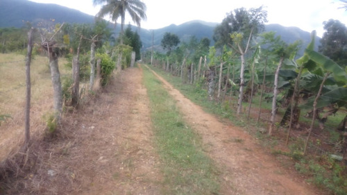 Se Vende Finca En Los Mogotes, A 5 Minutos Del Pueblo, Con Titulo Del Iad