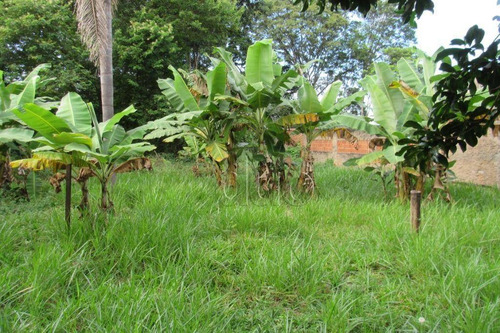 Imagem 6 de 22 de Chácara Com 2 Dormitórios À Venda, 1925 M² Por R$ 550.000,00 - Glebas Natalinas - Piracicaba/sp - Ch0106