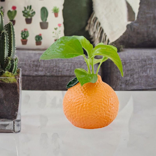 Jarrón De Flores En Forma De Naranja, Florero De , Soporte