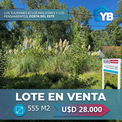 Lote En Venta En Costa Del Este