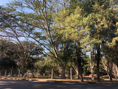 Casa À Venda Em Parque Xangrilá - Ca227664