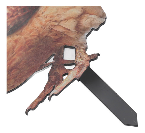Adorno Estereoscópico Acrílico Con Forma De Estaca Para Gall