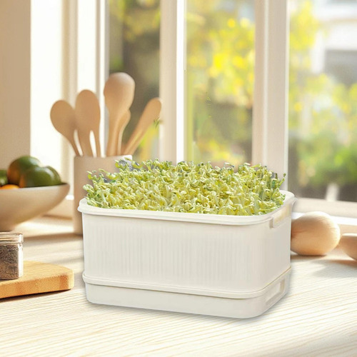 Sprouts Bandeja De Kit De Cultivo De Bandeja De Gestão De
