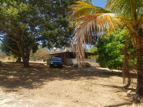 Vendo Sítio Em Cachoeira Do Choro