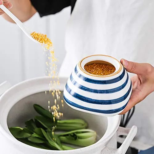 Recipiente De Porcelana Para Condimentos Y Especias Con Jueg