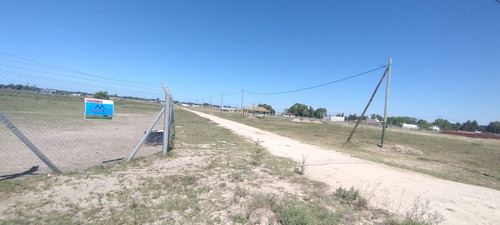 Terreno En Venta En Domselaar