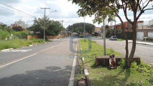 Imagem 8 de 8 de Terreno Residencial À Venda, Jardim Paraíso, Campinas. - Te0054