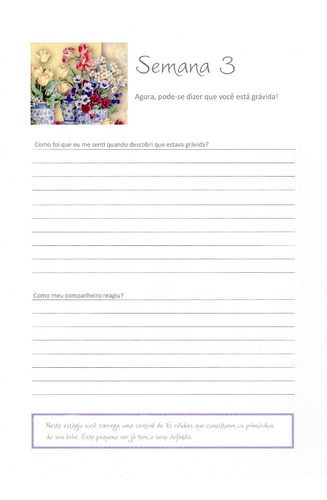 Imagem 7 de 10 de Diário De Grávida Mamãe - Agenda Para Gestante - Dicas