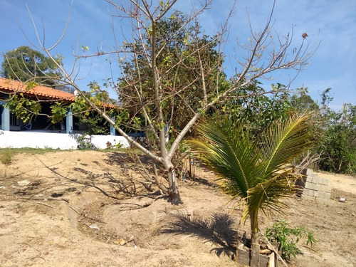 Imagem 18 de 25 de Chácara 13 Mil M2, Casa Sede Com 3 Dormitórios, 1 Suíte, Poço Artesiano, Pomar, Cozinha Americana - Ch00124 - 69942096